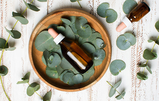From Tree to Radiant Skin—8 Eucalyptus Oil Benefits