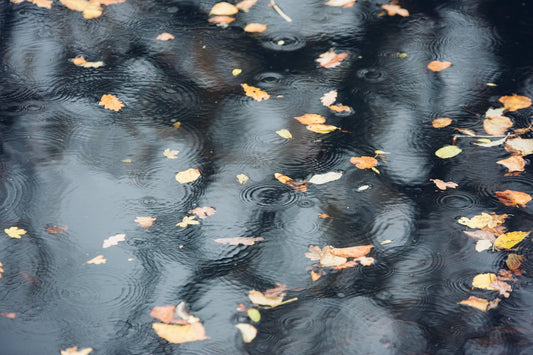 autumn-leaves-floating-rain-ripples-water-reflection