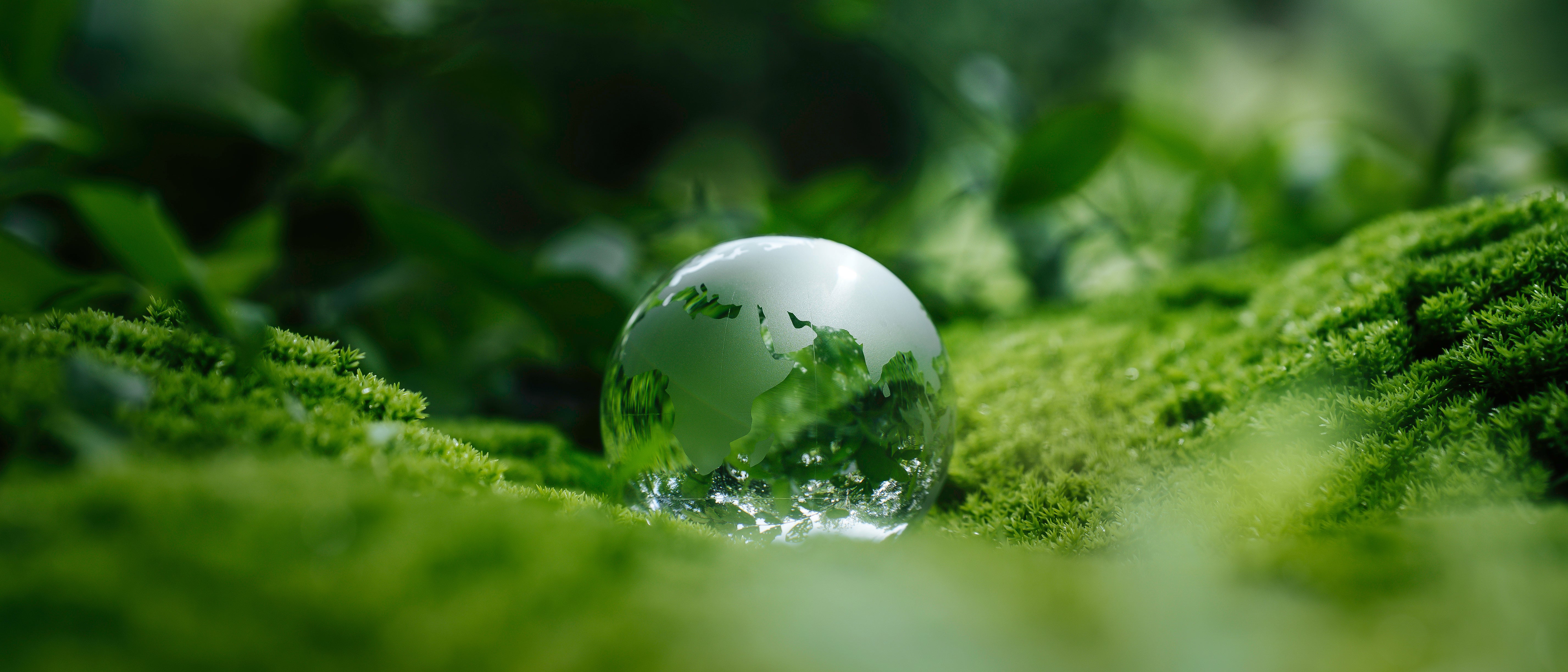 ā»ļø The Beauty of Glass Packaging