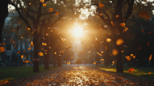 How Can You Hydrate, Brighten & Protect Your Skin with the Best Fall Skincare Routine?