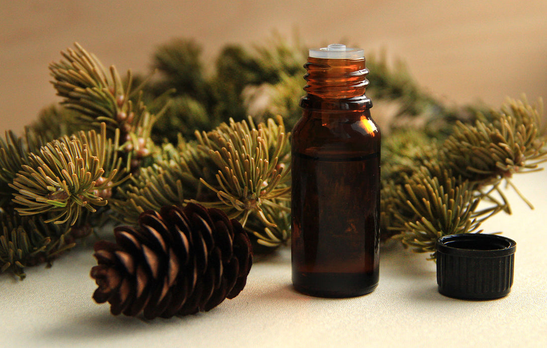 From Forest to Skin—Cedarwood Oil's Skin Benefits – Trilipiderm