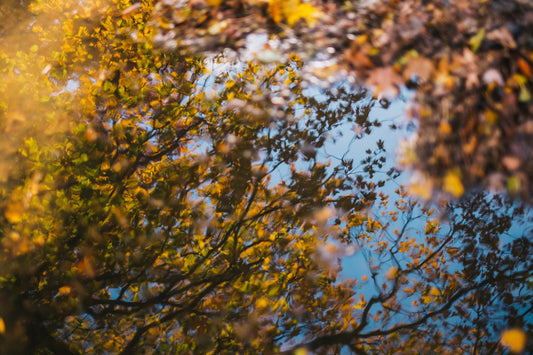 Hydration Revival: Why Your Skin Needs More Moisture in the Fall