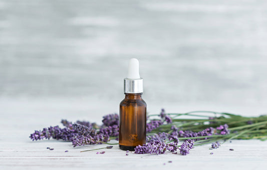 Discover the Lavish Benefits of Lavender Oil for Skin