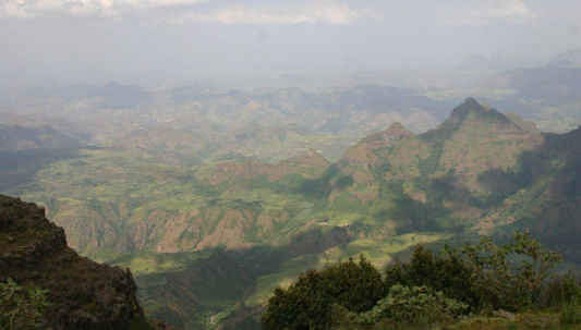 The Ethiopian Highlands rising above 7,000 feet — the ancient Abyssinian plateau where Crambe abyssinica grows natively and where communities first discovered the skin and hair benefits of Abyssinian oil