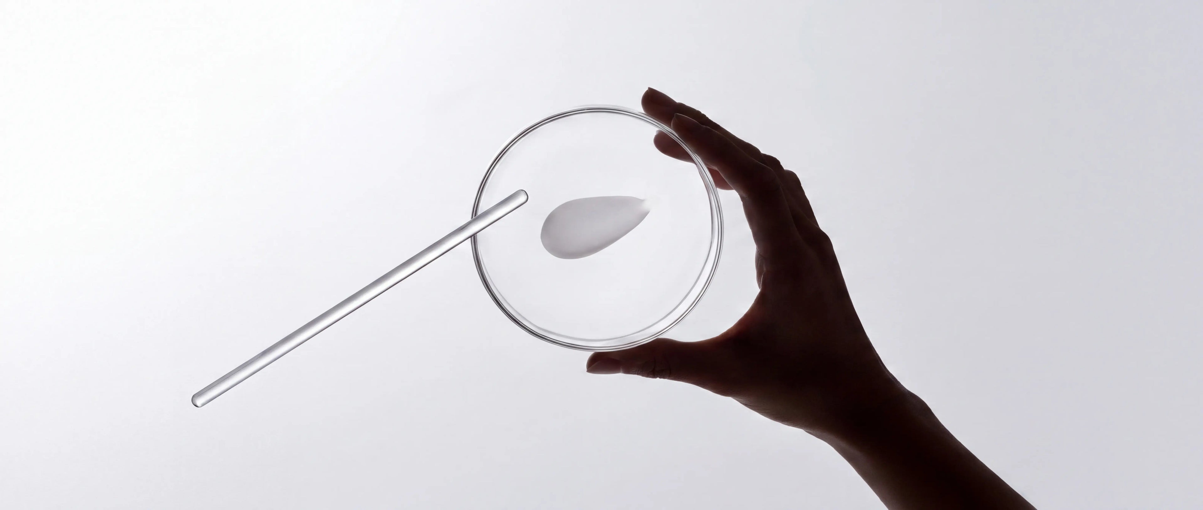 PETRI DISH