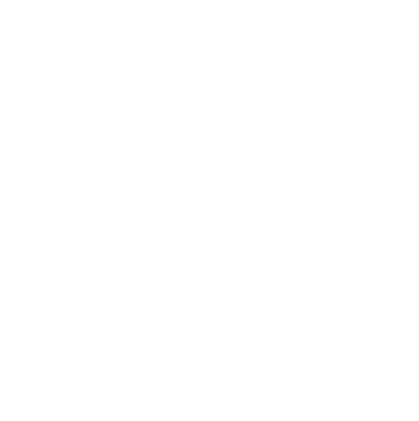Made in USA - icon