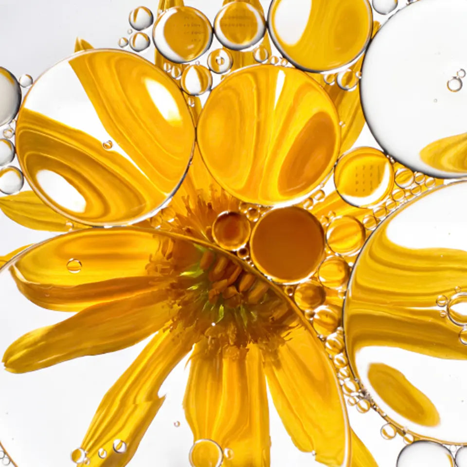 seed oils meadowfoam medasynnian lipid complex ingredient