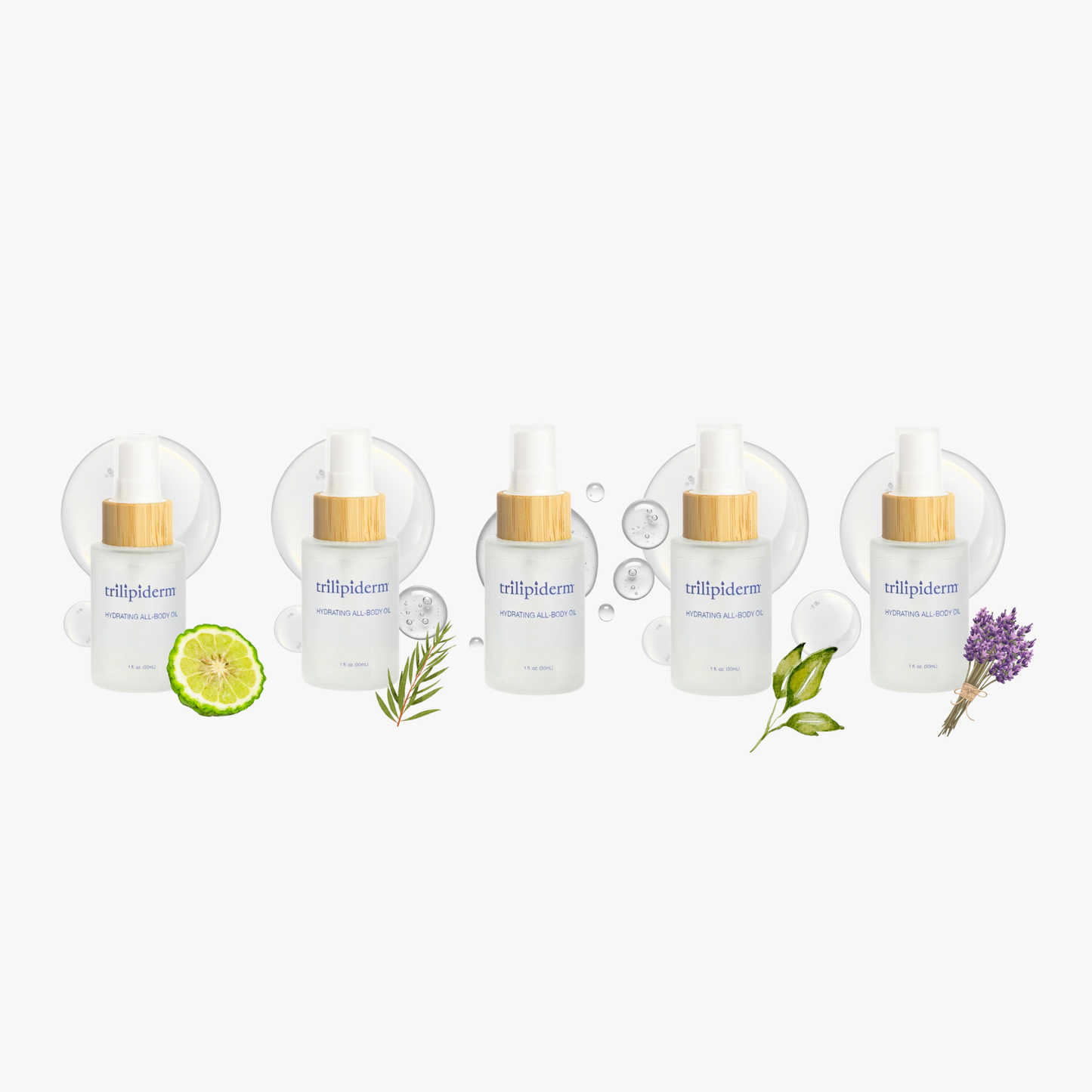 Five-bottle lineup of Hydrating All-Body Oil minis in Tea Tree, Bergamot, Fragrance-Free, Lemongrass, and Lavender with botanical accents