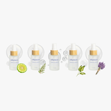 Five-bottle lineup of Hydrating All-Body Oil minis in Tea Tree, Bergamot, Fragrance-Free, Lemongrass, and Lavender with botanical accents