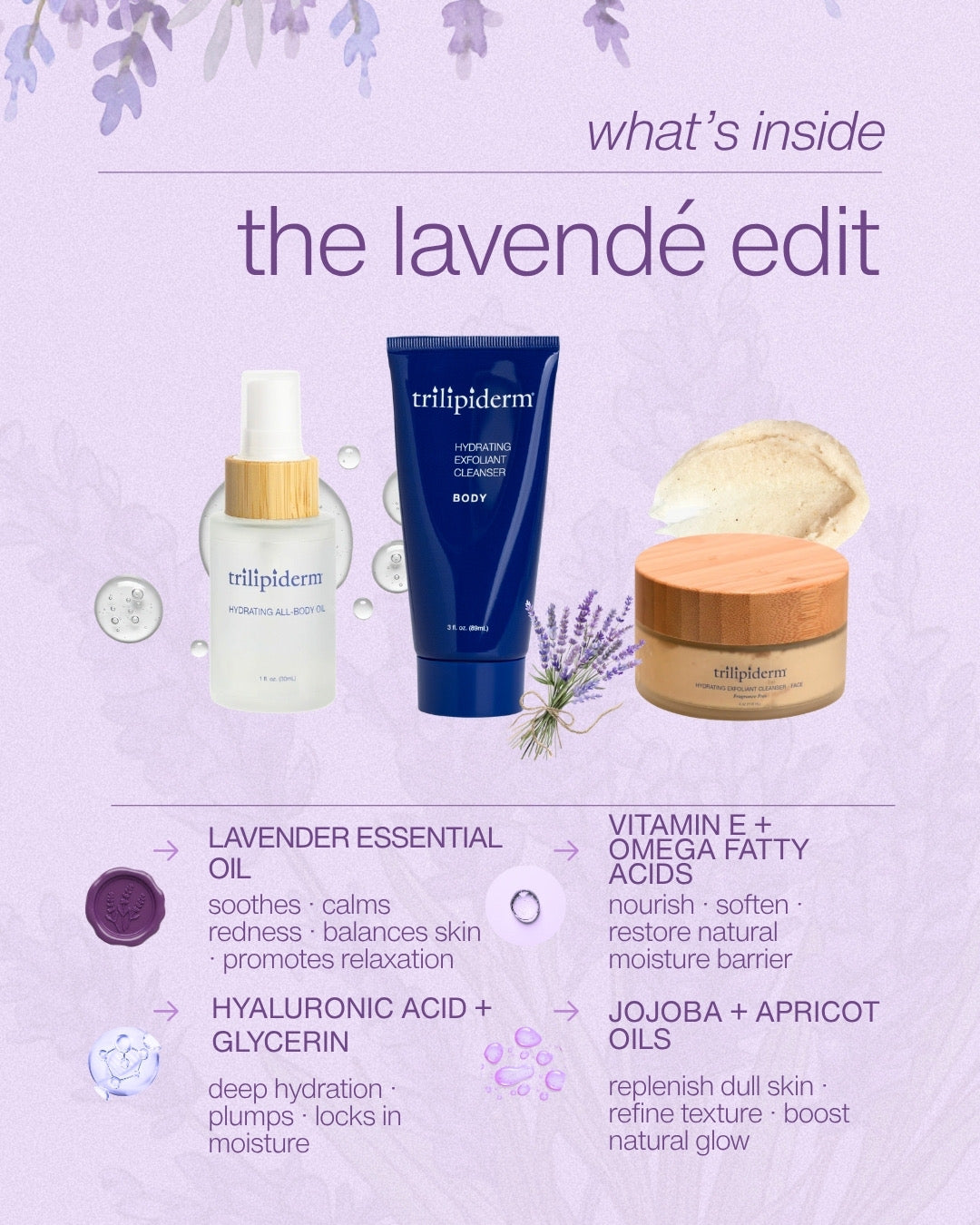 What’s inside The Lavendé Edit — Trilipiderm lavender skincare set highlighting key ingredients like lavender essential oil, hyaluronic acid, vitamin E, and jojoba oils.